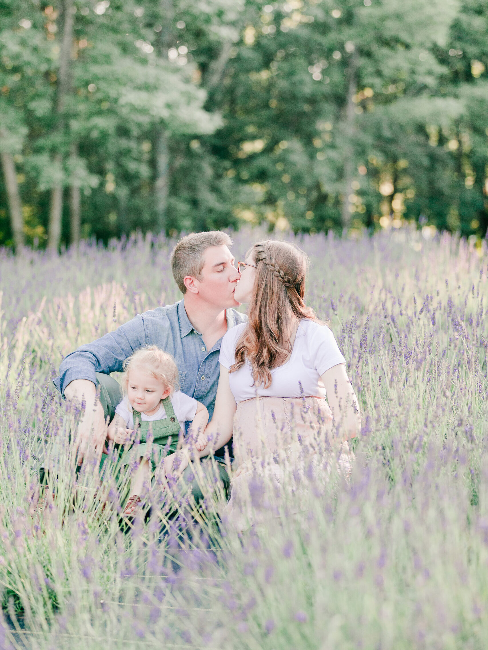 Dad and pregnant mom embracing in a lavender field with toddler daughter in their lap.