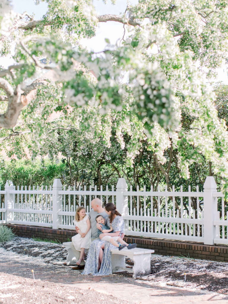 Brother and sister sitting in parents lap, smiling and playing together, under a cherry tree in full bloom in a garden surrounded by a white picket fence. 